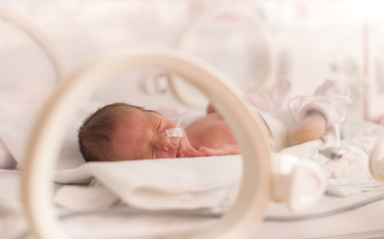 World Prematurity Day 2019 - Five Years Later