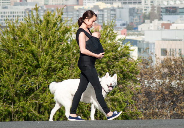 mother walking dog in nesting days carrier