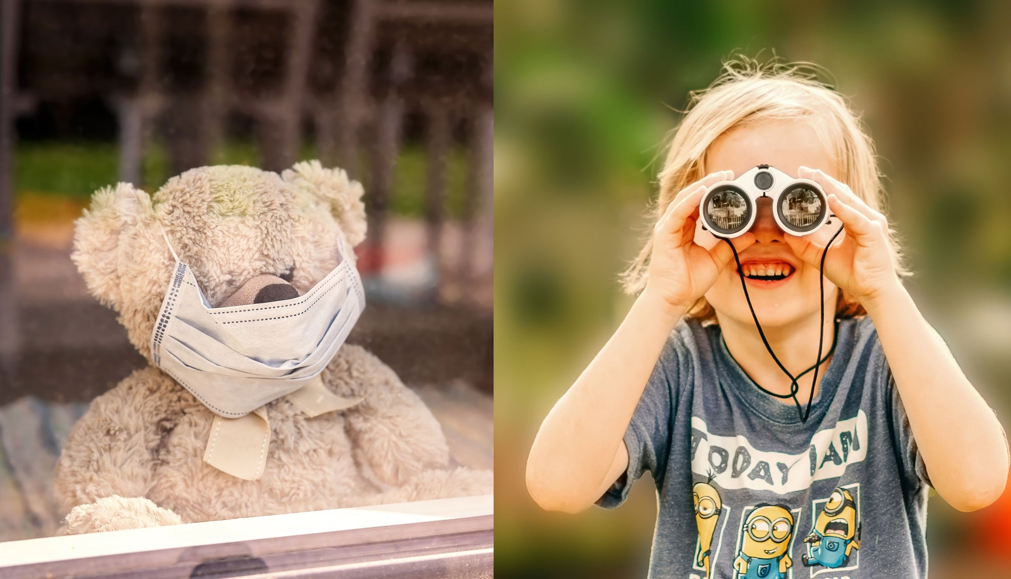 teddy bear in window, child with binoculars, teddy bear hunt